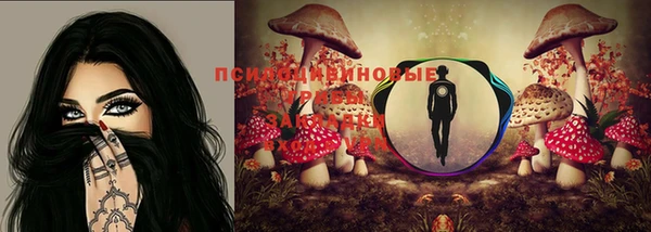 метадон Алзамай